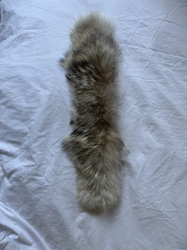 Canada goose fur trim - goose,