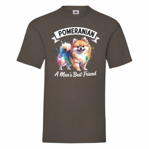 Pomeranian man best friend - pomeranian,