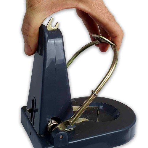 Black cat rat trap powerful - trap,
