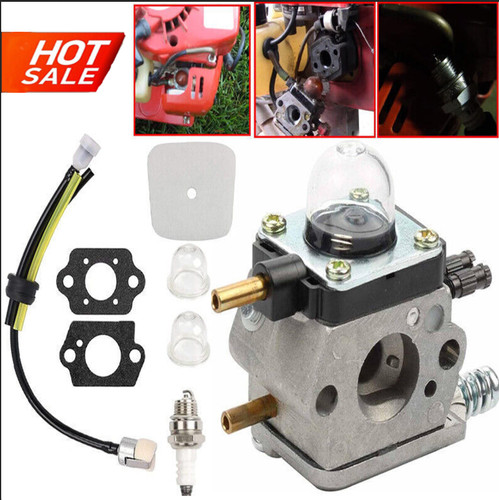 Carburetor for stroke - 2-stroke, mantis