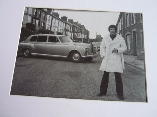 White mount stars cars - a4,