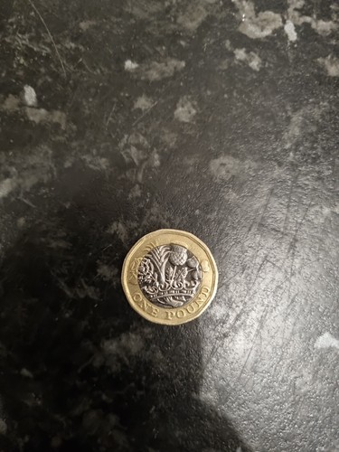 Rare 2017 one pound coin - rare, coin,