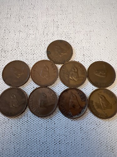 British bronze wren - 9x,