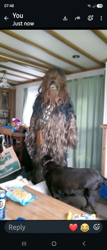 Rubies chewbacca costume star - chewbacca,