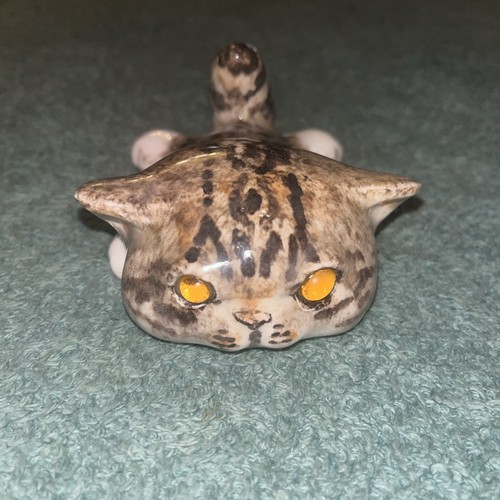 Winstanley tabby squashed - tabby,