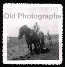 1952 FARM FARMER KIDS HORSE