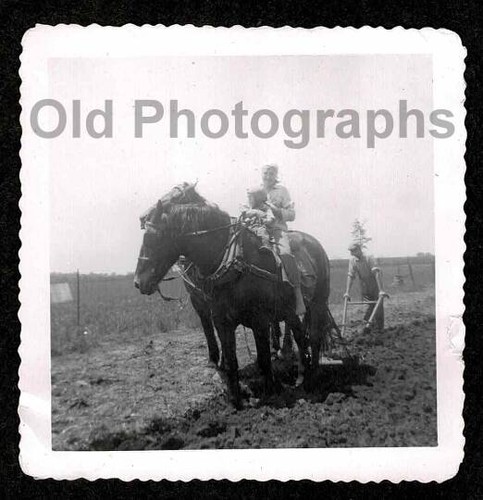 1952 farm farmer kids horse - 1952,
