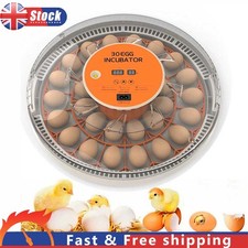 Egg Incubator Automatic