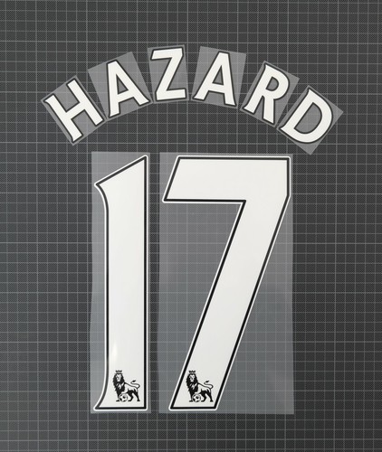 Hazard 2013 2017 - #17, player