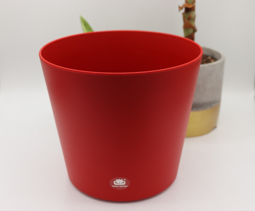 Modern decorative plant - decorative, pot