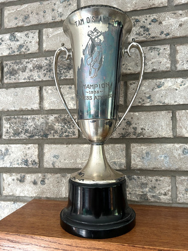 Vintage golf trophy cup - golf,