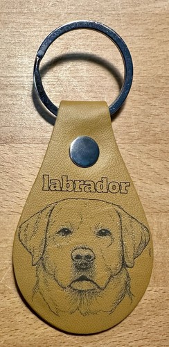 Labrador retriever dog - labrador,