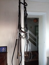 Double Bridle. Full Size