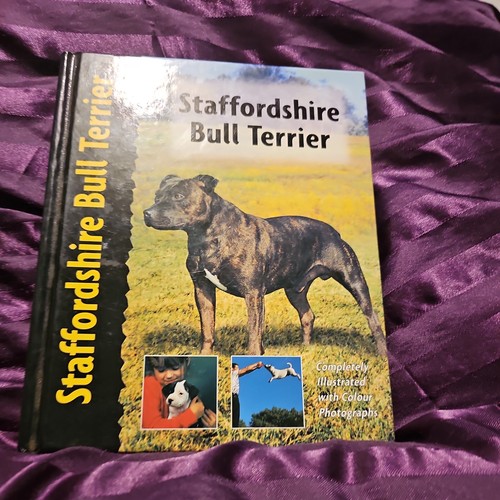 Staffordshire bull terrier - staffordshire,