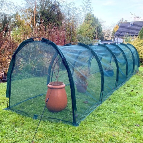5x1x1m allotment plant cover - plant,