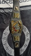 Official WWE Spinner