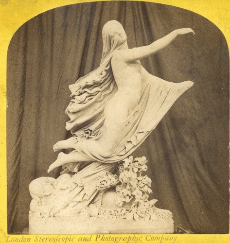 Stereoview the sleep - -, of