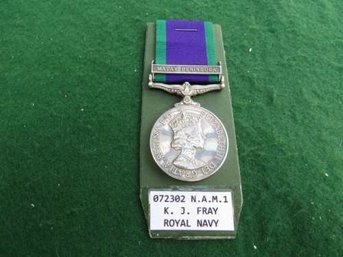 Campaign service medal - service,
