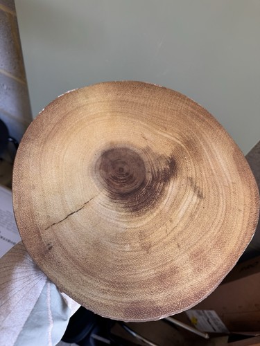 Wood effect log slices 2cm - wood,