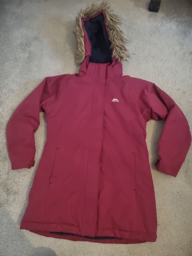 Very warm maroon 8 year - ,