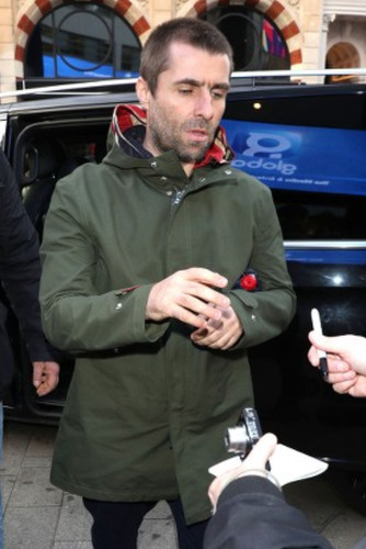Rare pretty green ventile - green,