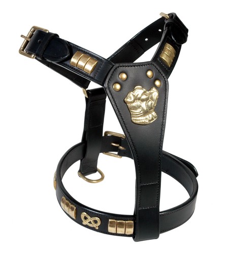 Staffy leather designer dog - leather,