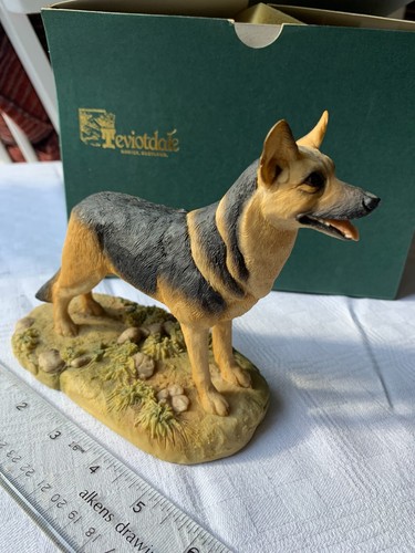 Teviotdale german shepherd - german,