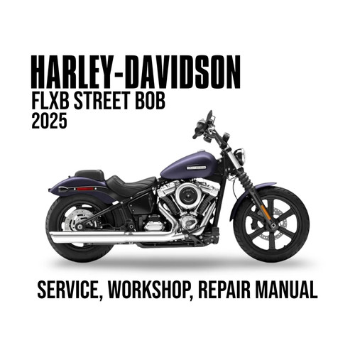 Harley davidson flxb street - davidson,