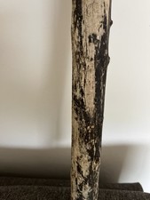 55cm LONG CHUNKY DRIFTWOOD