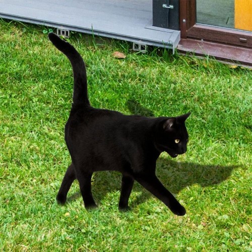 Waterproof cat garden stake - waterproof,