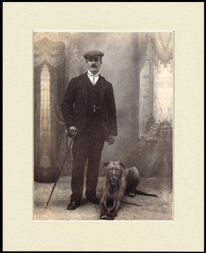 Lurcher dog art print - lurcher,