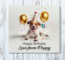 Jack Russell Brown & White Dog