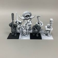 7  IRONGUTS OGOR MAWTRIBES