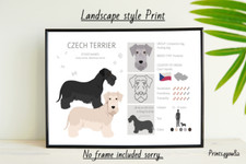 CESKY TERRIER DOG PET A4