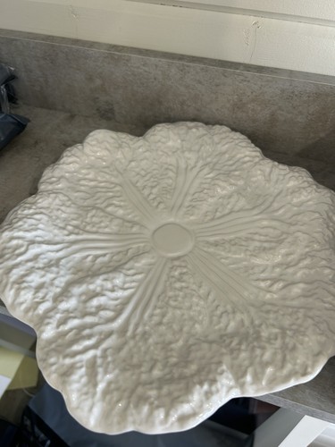 White floral cabbage - floral,