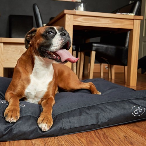 Waterproof dog mattress bed - waterproof,