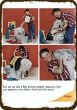 1965 OLD ENGLISH SHEEPDOG Bath