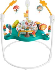 Fisher-Price Baby Bouncer