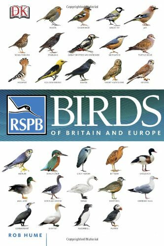 Rspb birds britain - birds,