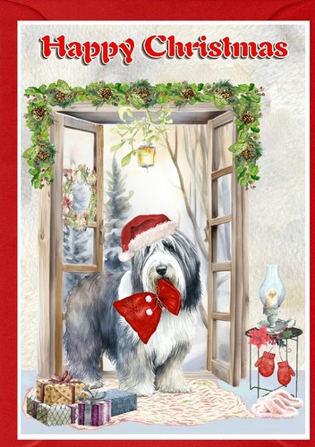 Bearded collie dog christmas - bearded,