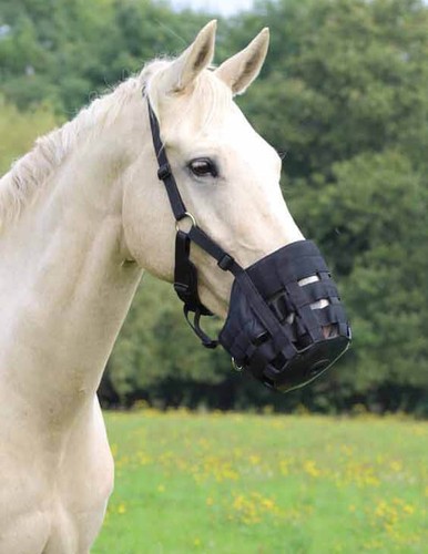 Shires equestrian comfort - shires,