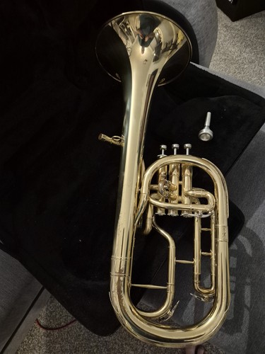 Tenor horn - tenor,
