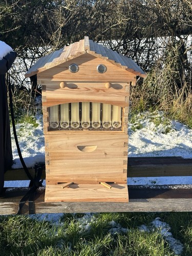 Wooden section auto - wooden, honey
