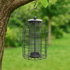 Wild Bird Nut Peanut Feeder