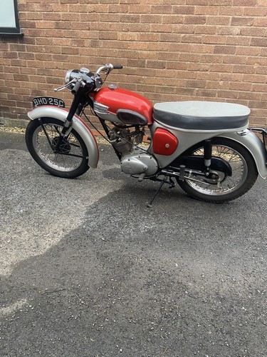 Triumph tiger cub - tiger,