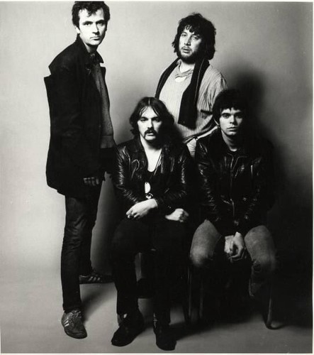 Punk rock the stranglers - stranglers, large