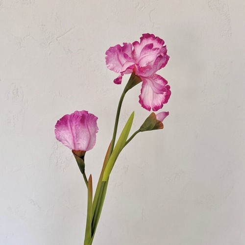 Heads iris artificial - 3,