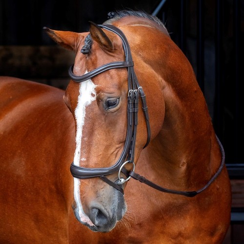 Shires velociti rapida - shires,