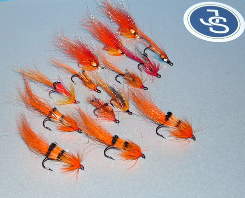 Stunning quality salmon - quality,