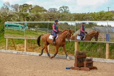 Official Mirrors for Training
